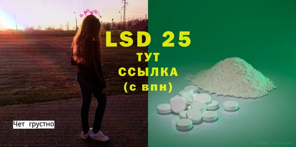 дурь Бородино