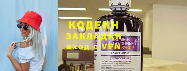 дурь Бородино