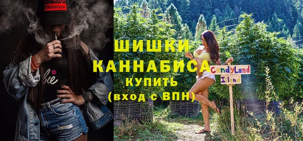 дурь Бородино