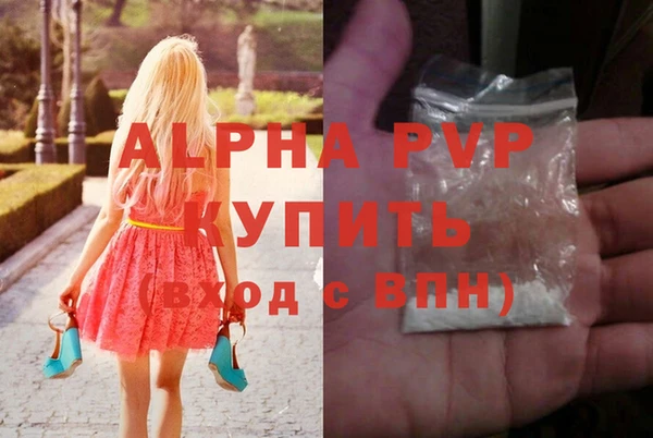 дурь Бородино