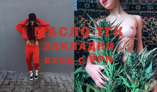 дурь Бородино
