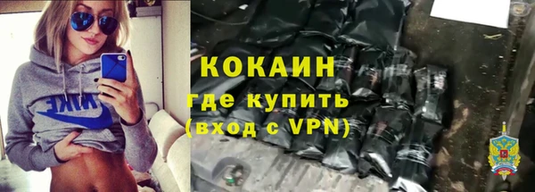 дурь Бородино